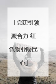 党建引领聚合力 红色物业暖民心