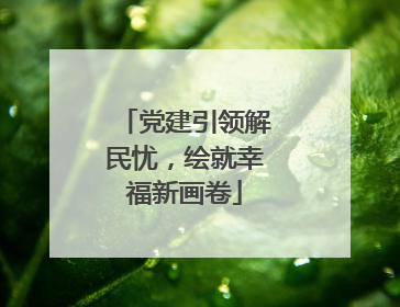 党建引领解民忧，绘就幸福新画卷