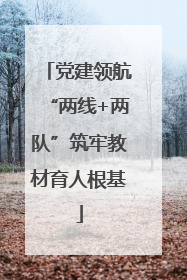 党建领航“两线+两队”筑牢教材育人根基