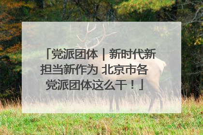 党派团体｜新时代新担当新作为 北京市各党派团体这么干！