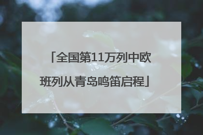 全国第11万列中欧班列从青岛鸣笛启程
