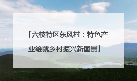 六枝特区东风村：特色产业绘就乡村振兴新图景