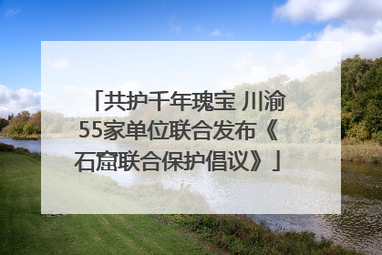 共护千年瑰宝 川渝55家单位联合发布《石窟联合保护倡议》