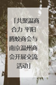 共聚温商合力 平阳腾蛟商会与南京温州商会开展交流活动
