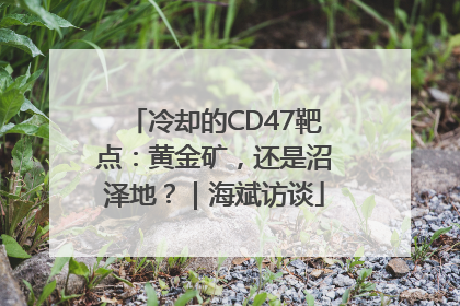 冷却的CD47靶点：黄金矿，还是沼泽地？｜海斌访谈