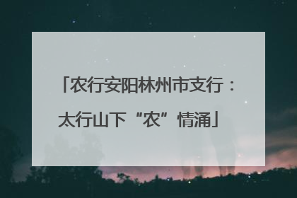 农行安阳林州市支行：太行山下“农”情涌