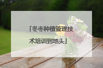 冬枣种植管理技术培训到地头
