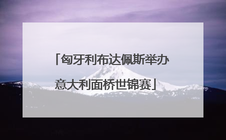 匈牙利布达佩斯举办意大利面桥世锦赛