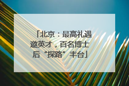 北京：最高礼遇邀英才，百名博士后“探路”丰台