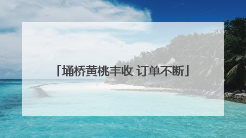 埇桥黄桃丰收 订单不断