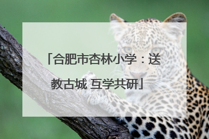 合肥市杏林小学：送教古城 互学共研