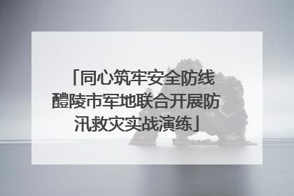 同心筑牢安全防线 醴陵市军地联合开展防汛救灾实战演练