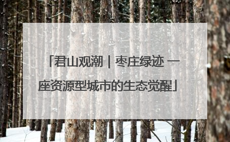 君山观潮｜枣庄绿迹 一座资源型城市的生态觉醒
