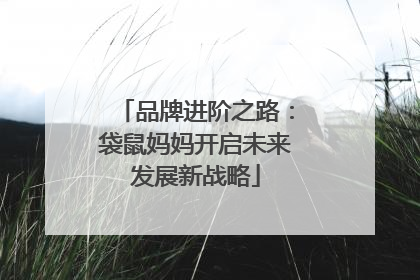 品牌进阶之路：袋鼠妈妈开启未来发展新战略