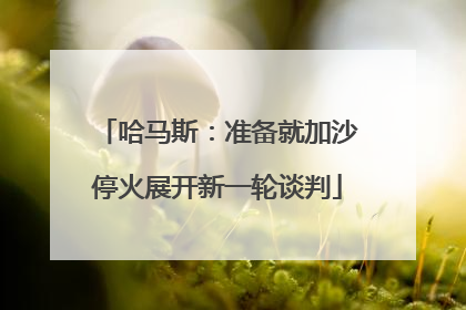 哈马斯：准备就加沙停火展开新一轮谈判