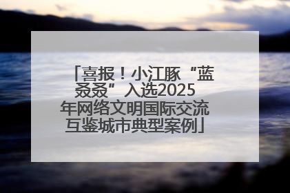 喜报！小江豚“蓝叒叒”入选2025年网络文明国际交流互鉴城市典型案例