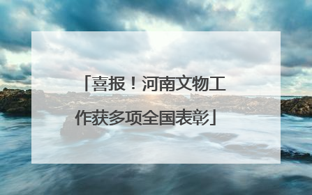 喜报！河南文物工作获多项全国表彰