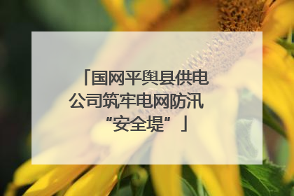 国网平舆县供电公司筑牢电网防汛“安全堤”