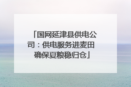 国网延津县供电公司：供电服务进麦田 确保夏粮稳归仓