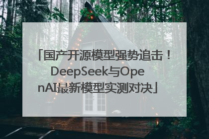 国产开源模型强势追击！DeepSeek与OpenAI最新模型实测对决