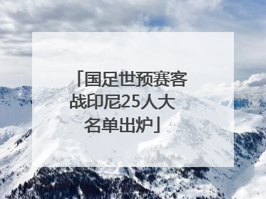 国足世预赛客战印尼25人大名单出炉