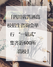 四川省普通高校招生咨询会举行 “一站式”集齐近600所高校