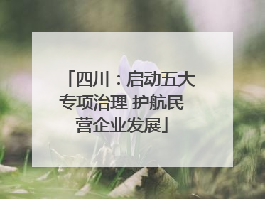 四川：启动五大专项治理 护航民营企业发展