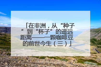 在非洲，从“种子”到“杯子”的遥远距离——一颗咖啡豆的前世今生（三）