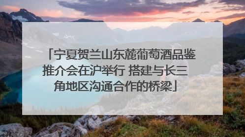 宁夏贺兰山东麓葡萄酒品鉴推介会在沪举行 搭建与长三角地区沟通合作的桥梁