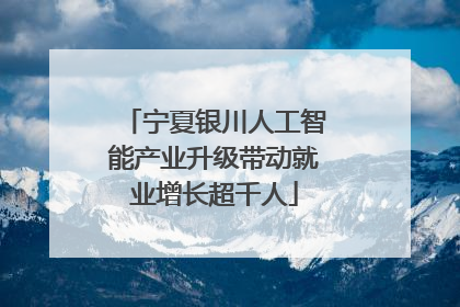 宁夏银川人工智能产业升级带动就业增长超千人