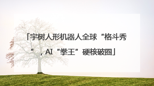 宇树人形机器人全球“格斗秀”，AI“拳王”硬核破圈