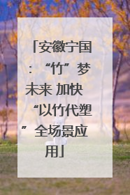 安徽宁国：“竹”梦未来 加快“以竹代塑”全场景应用