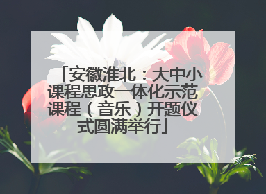 安徽淮北：大中小课程思政一体化示范课程（音乐）开题仪式圆满举行