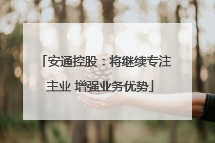 安通控股：将继续专注主业 增强业务优势