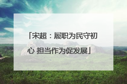 宋超：履职为民守初心 担当作为促发展