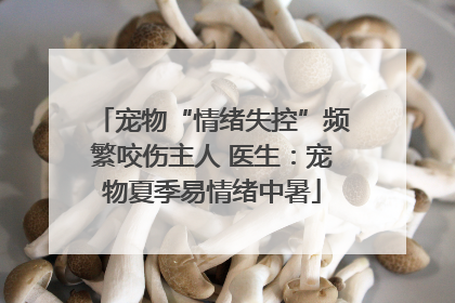宠物“情绪失控”频繁咬伤主人 医生：宠物夏季易情绪中暑