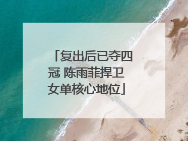 复出后已夺四冠 陈雨菲捍卫女单核心地位