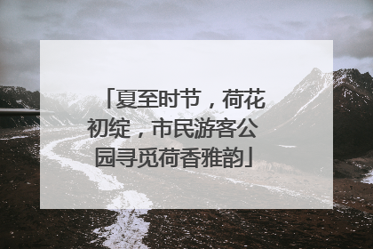 夏至时节，荷花初绽，市民游客公园寻觅荷香雅韵