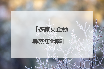 多家央企领导密集调整
