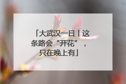 大武汉一日丨这条路会“开花”，只在晚上有