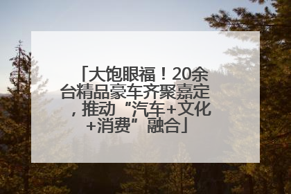 大饱眼福！20余台精品豪车齐聚嘉定，推动“汽车+文化+消费”融合