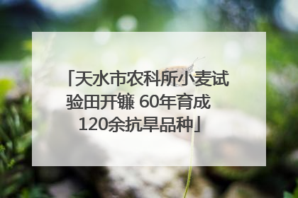 天水市农科所小麦试验田开镰 60年育成120余抗旱品种