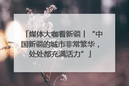 媒体大咖看新疆丨“中国新疆的城市非常繁华，处处都充满活力”