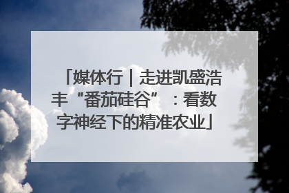 媒体行｜走进凯盛浩丰“番茄硅谷”：看数字神经下的精准农业