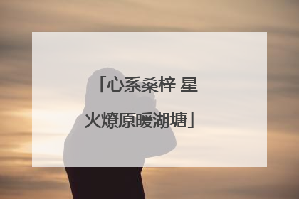 心系桑梓 星火燎原暖湖塘