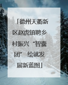德州天衢新区赵虎镇聘乡村振兴“智囊团” 绘就发展新蓝图