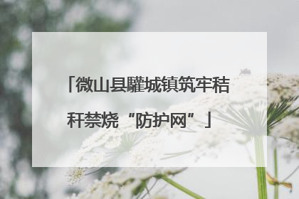 微山县驩城镇筑牢秸秆禁烧“防护网”