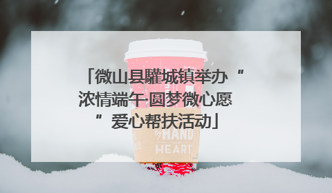 微山县驩城镇举办“浓情端午·圆梦微心愿”爱心帮扶活动