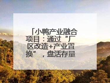 小鸭产业融合项目：通过“厂区改造+产业置换”，盘活存量，增值增效