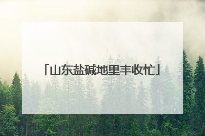 山东盐碱地里丰收忙